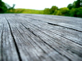 wood