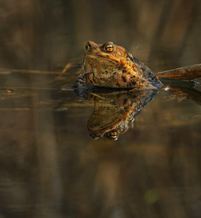 To je všetko moje !!!!  