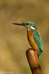 sedím a je mi dobre