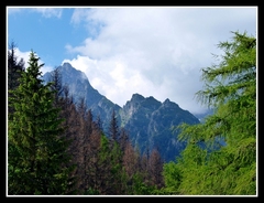 Vysoké Tatry 2