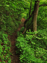 Přírodní park Horní Střela