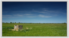 Studňa v púšti jačmeňa