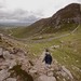 MOURNE WALL