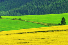 Trocha ťepla