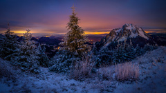 Pred vychodom slnka.