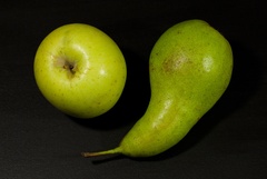 Ovocie