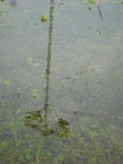 under water