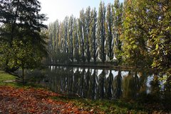 jesenný kľud