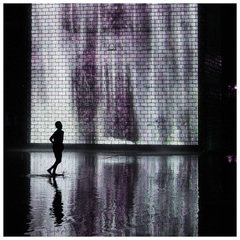 Night Reflection
