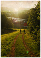 Following the Sunset
