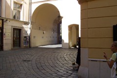 Starenka - kvetinárka