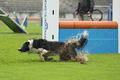 European Open 2010