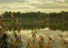 ..rybník..