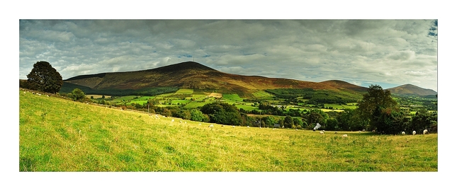 Mount Leinster