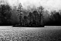 Königssee VIII