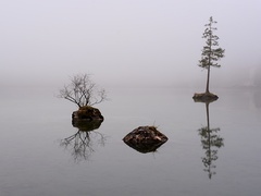 Hintersee IV