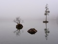 Hintersee IV