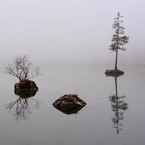 Hintersee IV