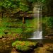 Glencar Waterfall II