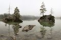 Hintersee II