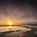 White Strand II