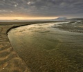 White Strand III