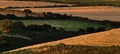 Irska country