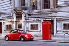 BEETLE