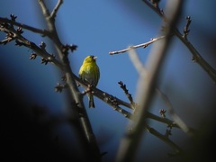 S nazvom mi mozte pomoct :)