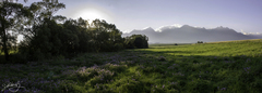 Panorama Tatry
