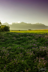 Tatry