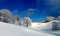 Winter dreams