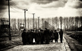 Židé v Birkenau