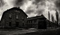 ... Na rohu v Aushwitz ...