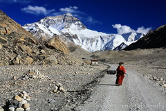 Mt. Everest
