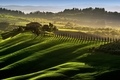 Tuscany