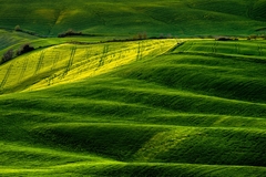 Tuscany