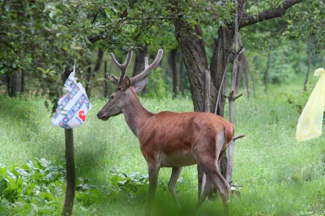 Čo dobré mi priniesli z Jednoty?