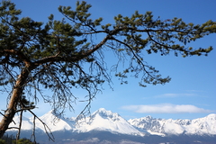 Pohľad na Gerlach a Tatry