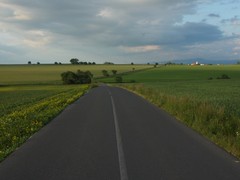 Cesta