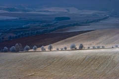 vlna