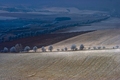 vlna