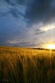 Sun...