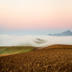 Línie jesenného rána