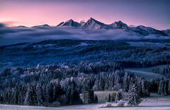 Belianky z Lapšanky