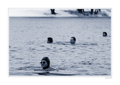 A že jedna lastovička nespraví l