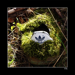 adidas forever