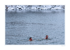 Ľadové medvede III