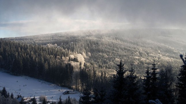 Pohľad na prašivu