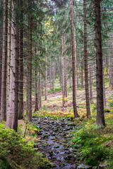 Krkonoše